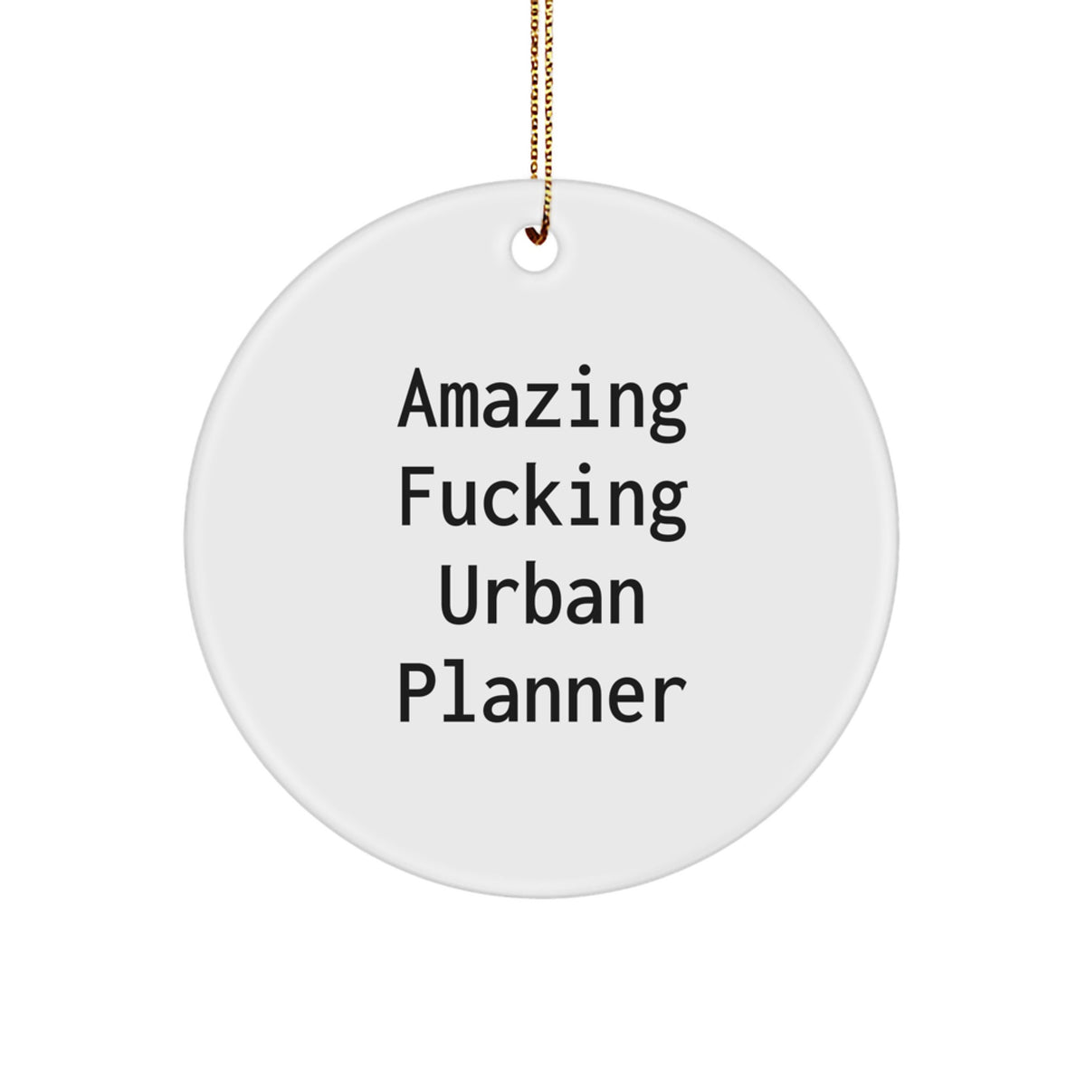 Christmas Gift for Her Urban Planner Ornament Present - Image 1