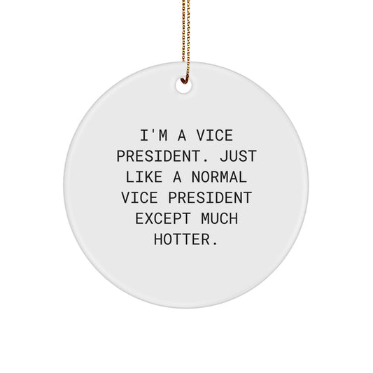 Funny Vice President Christmas Unique Gifts for Men from Family, Unique Circle Ornament with Humorous Quote, White MDF Material, Perfect for Office Decor - Image 1