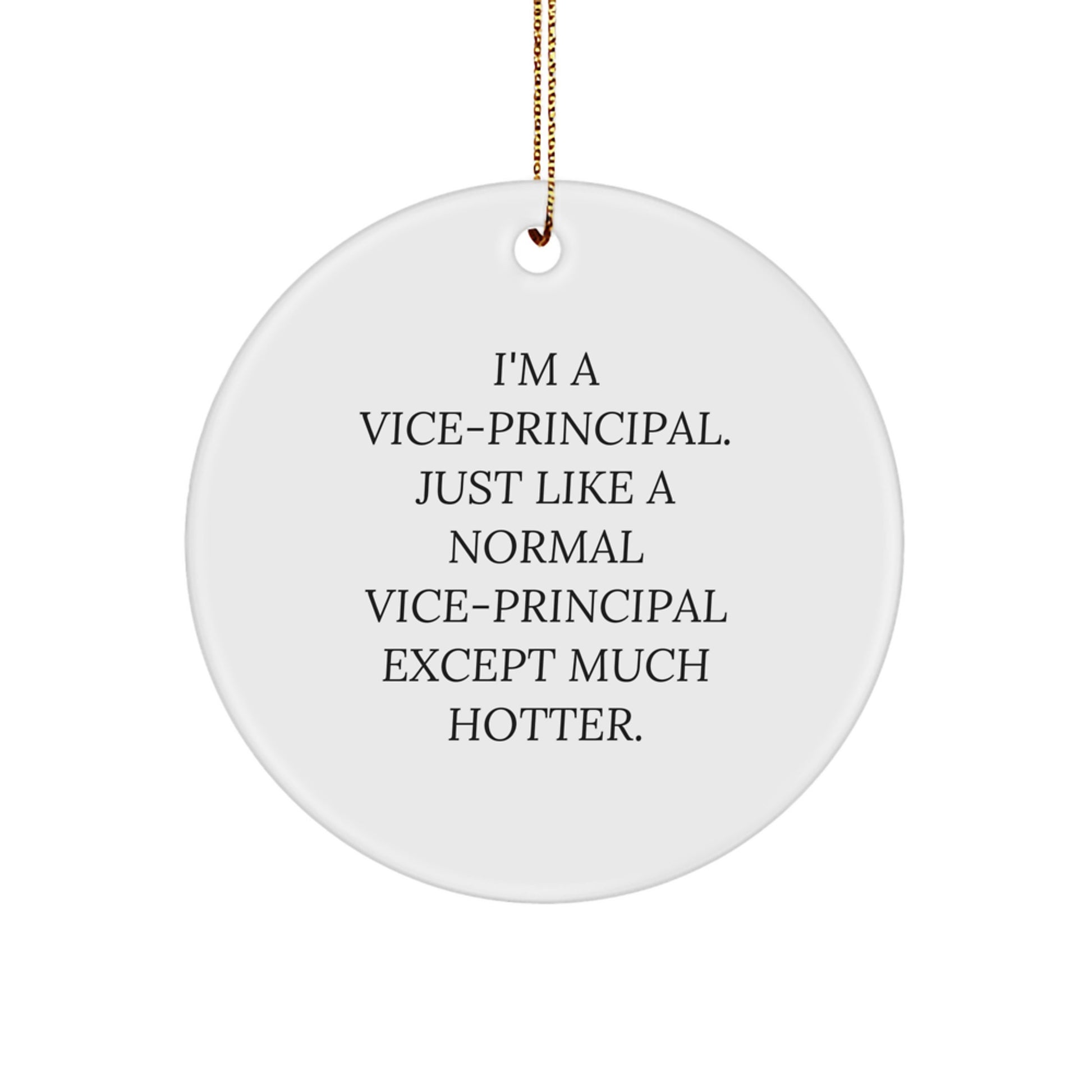 Funny Vice-Principal Gifts for Him, Inspirational Circle Ornament Quote "I'm A Vice-principal...", Christmas Decorations - Image 1