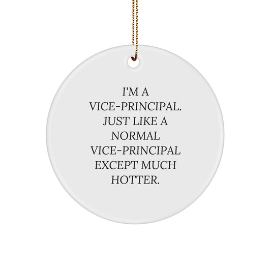 Funny Vice-Principal Gifts for Him, Inspirational Circle Ornament Quote "I'm A Vice-principal...", Christmas Decorations - Image 1