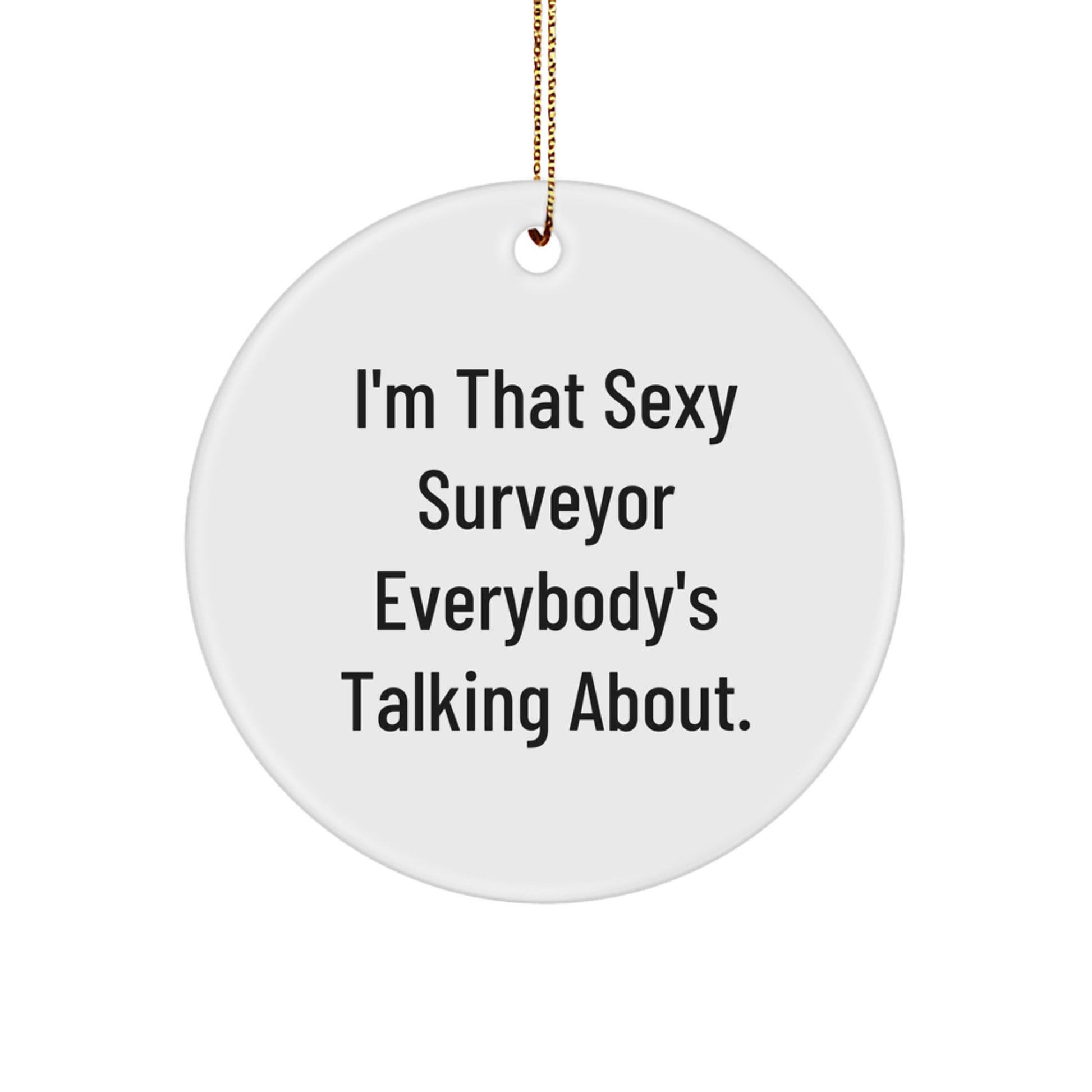 Funny Surveyor Gifts for Men from Friends, I'm That Sexy Surveyor Everybody's Talking About, Christmas Unique Circle Ornament for Surveyor - Image 1