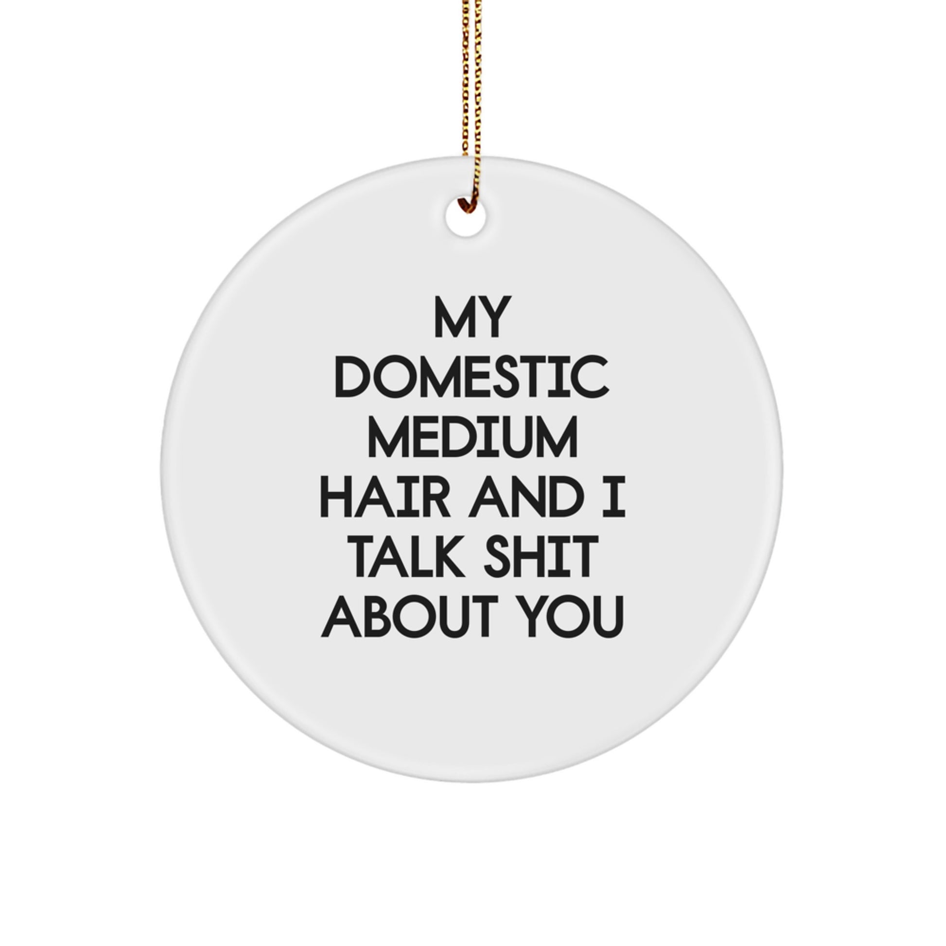 Funny Domestic Medium Hair Cat Circle Ornament Gifts for Christmas, My Domestic Medium Hair And I Talk Shit About You, Gifts from Family for Cat Lovers - Image 1