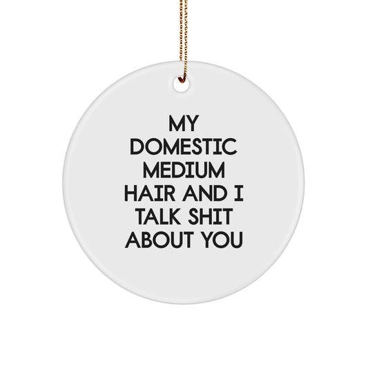 Funny Domestic Medium Hair Cat Circle Ornament Gifts for Christmas, My Domestic Medium Hair And I Talk Shit About You, Gifts from Family for Cat Lovers - Image 1