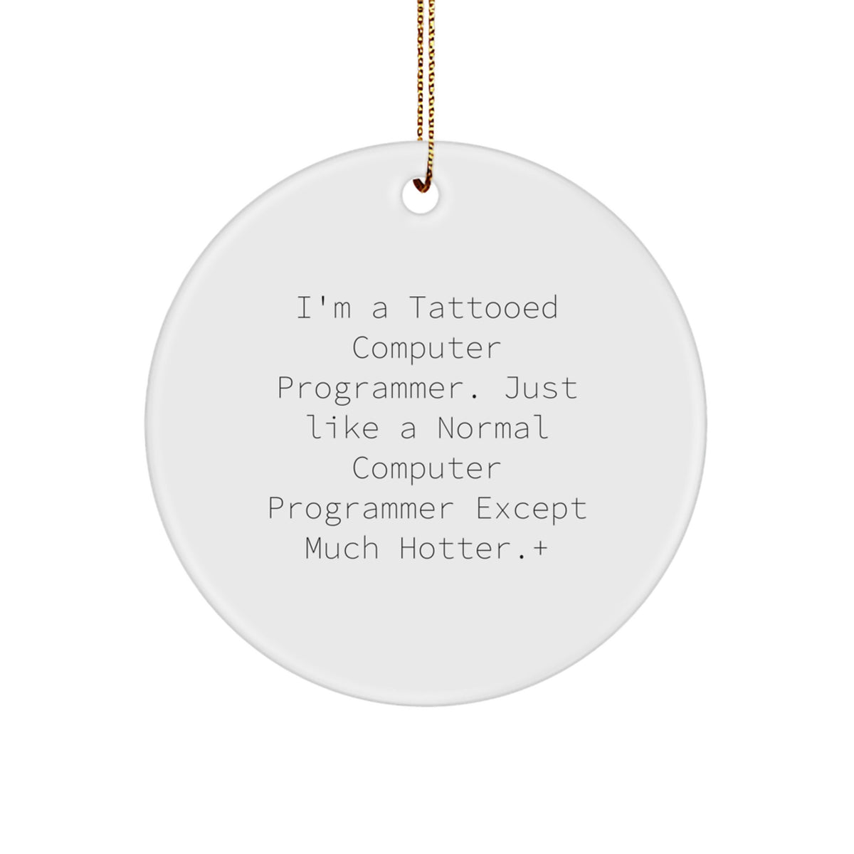 Sassy Computer Programmer Circle Ornament for Roommates Christmas Gift - Image 1