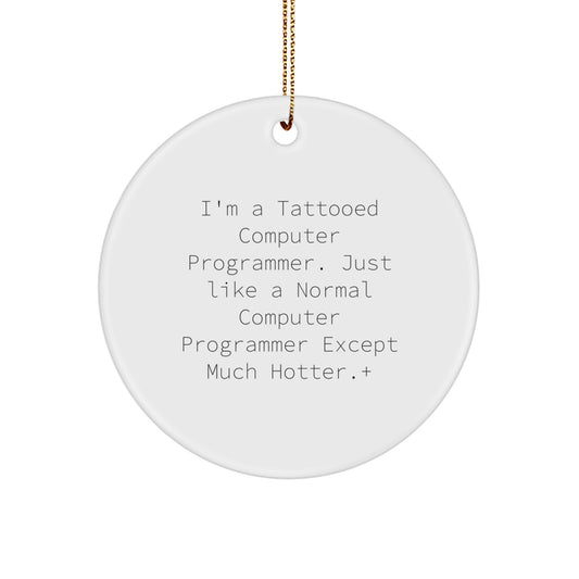 Sassy Computer Programmer Circle Ornament for Roommates Christmas Gift - Image 1