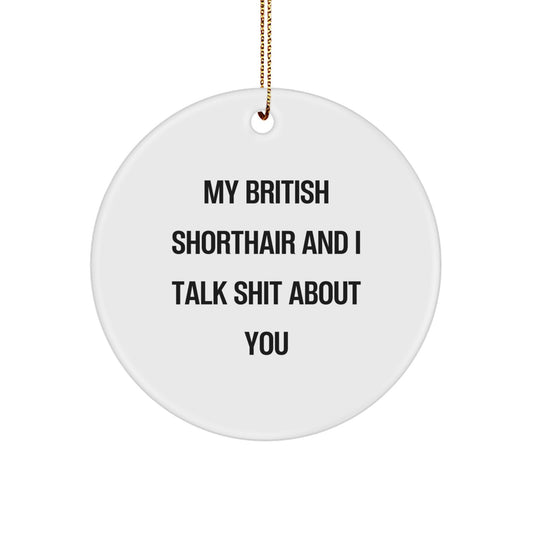 Funny British Shorthair Cat Gifts from Men to Family - Christmas Unique Gifts - Circle Ornament with My British Shorthair And I Talk Shit About You - Image 1