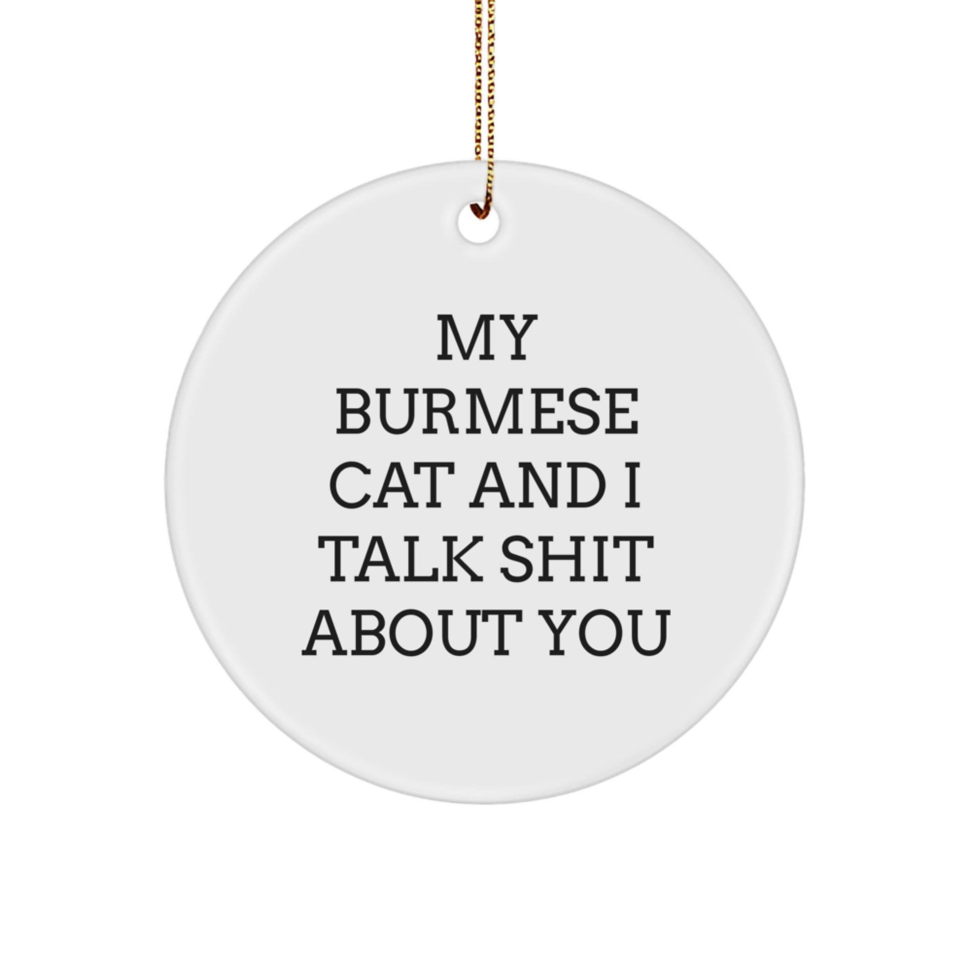 Funny Burmese Cat Circle Ornament Gifts for Friends and Family from Men with Christmas Unique Decorations - 'My Burmese Cat And I Talk Shit About You' - Image 1