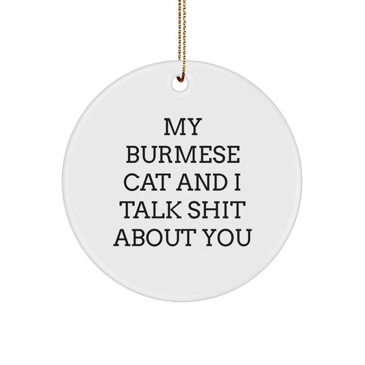Funny Burmese Cat Circle Ornament Gifts for Friends and Family from Men with Christmas Unique Decorations - 'My Burmese Cat And I Talk Shit About You' - Image 1
