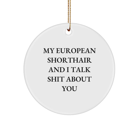 European Shorthair Cat Gift for Friends - Funny Circle Ornament, Christmas Unique Gifts from Family - Image 1