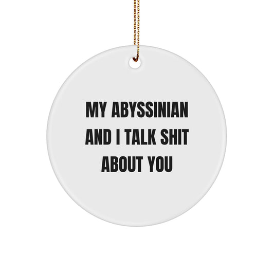 Abyssinian Cat Lover Gifts, Fun and Quirky My Abyssinian And I Talk Shit About You Circle Ornament, Christmas Unique Gifts for Friends and Family - Gifts from Men and Women - Image 1