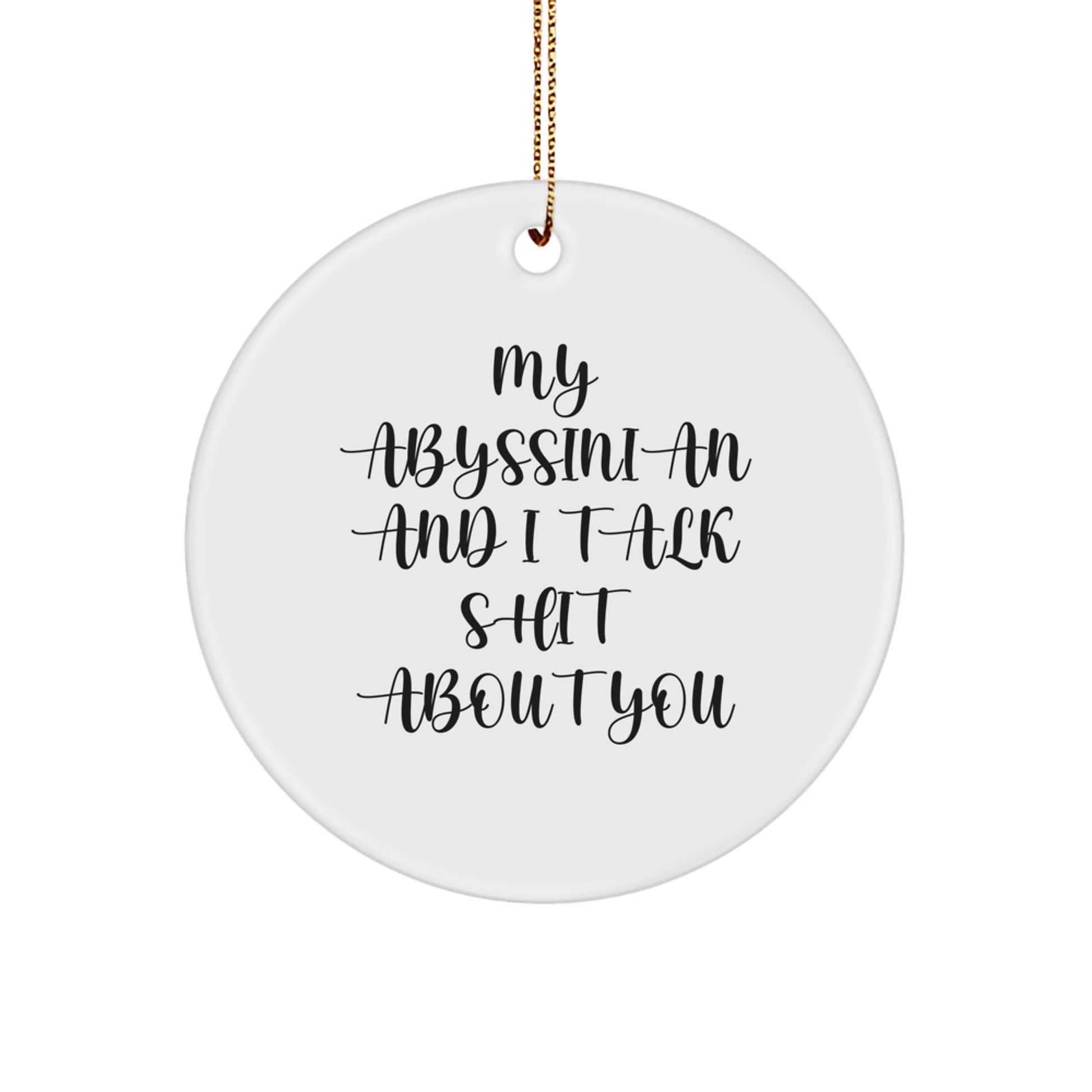 Abyssinian Cat Lover Gifts from Friends and Family - Funny Circle Ornament for Christmas Unique Gifts, My Abyssinian And I Talk Shit About You Cat Decor - Image 1