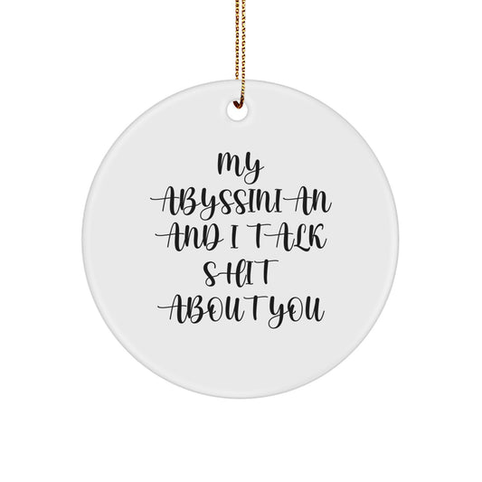 Abyssinian Cat Lover Gifts from Friends and Family - Funny Circle Ornament for Christmas Unique Gifts, My Abyssinian And I Talk Shit About You Cat Decor - Image 1