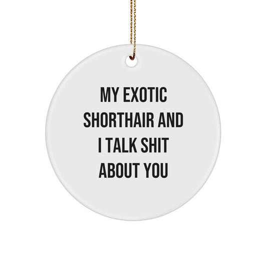 Exotic Shorthair Cat Gifts for Friends - Funny Circle Ornament - White Color, Christmas Unique Decor - Image 1