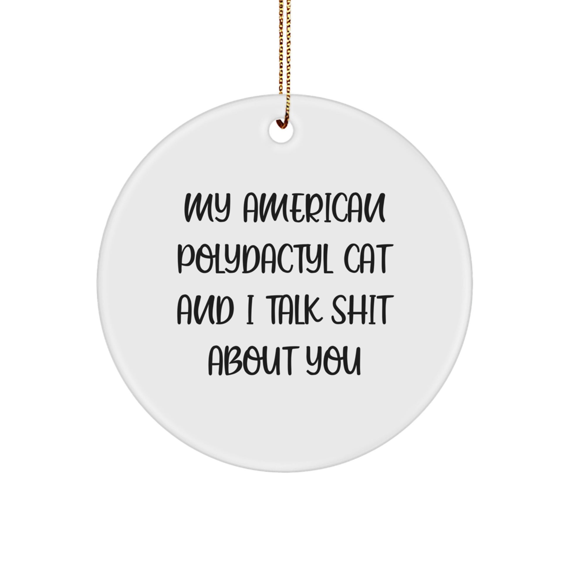 Funny American Polydactyl Cat Gifts, Circle Ornaments for Cat Lovers, Christmas Unique Presents from Friends to Family - Image 1