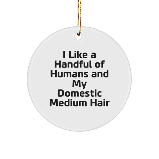 Funny Domestic Medium Hair Circle Ornament Gifts for Friends, Men, and Women - I 'Like A Handful Of Humans And My Domestic Medium Hair' Christmas Unique Gifts from Friends, Family, and Coworkers - Image 1