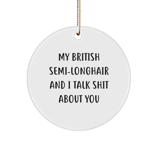 Funny British Semi-Longhair Cat Circle Ornament, Gifts from Friends for Christmas Unique - Image 1