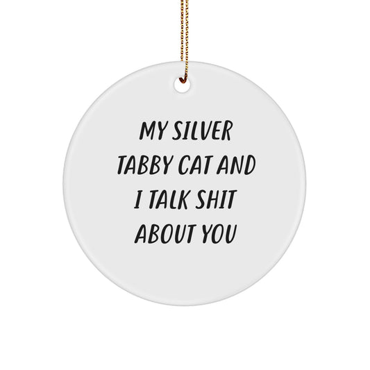 Silver Tabby Cat Lover Gifts from Men to Family Friends Women, Funny Christmas Circle Ornament, Silver Tabby Cat and I Talk Shit About You - Image 1