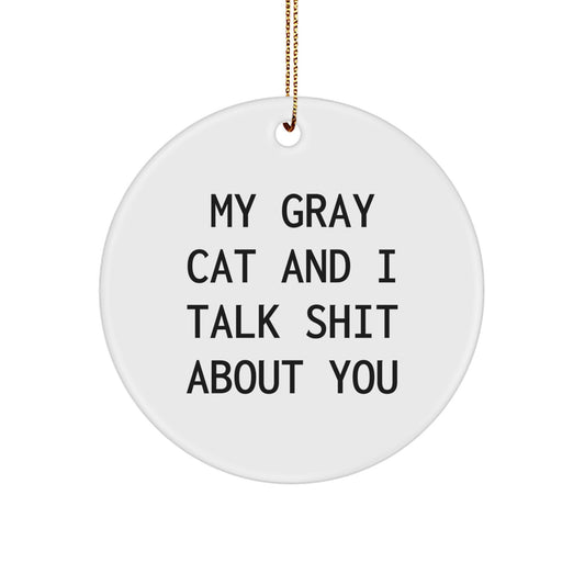 Funny Gray Cat Gifts for Men, Women, Friends, and Family - My Gray Cat And I Talk Shit About You Christmas Ornament for Gray Cat Lover - Image 1