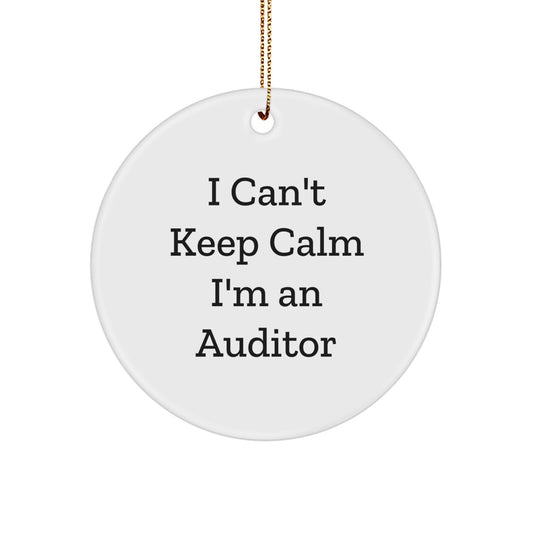 Funny Auditor Gifts for Men, Auditor Circle Ornament Gifts from Friends, Christmas Unique Gifts for Auditor Friends - Image 1