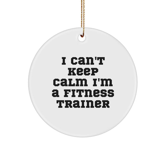 Funny Fitness Trainer Gifts from Friends, Funny Christmas Unique Gifts for Fitness Trainer, 'I Can't Keep Calm I'm A Fitness Trainer' Circle Ornament - Image 1