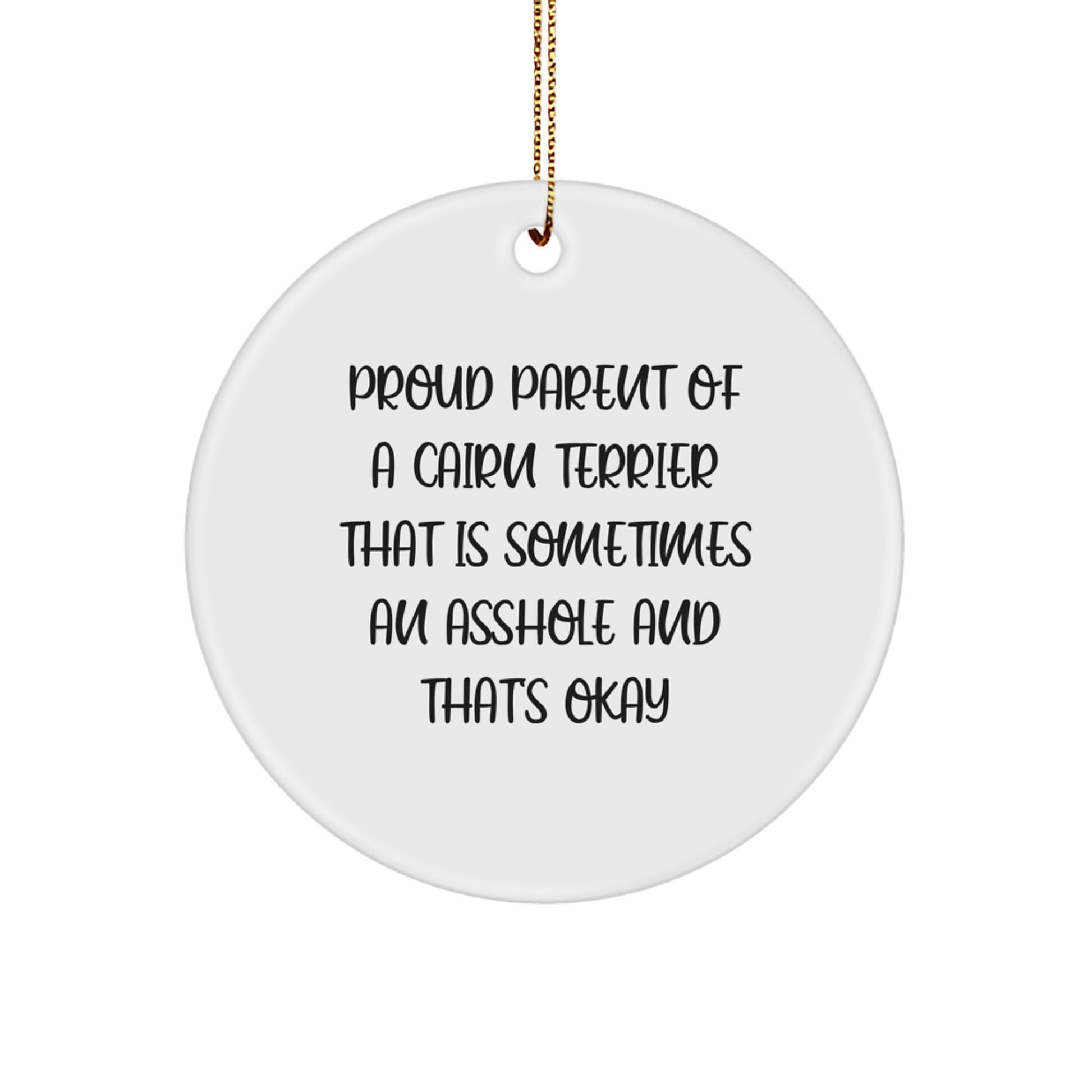 Funny Cairn Terrier Dog Gifts from Family - Circle Ornament for Proud Parent - Christmas Unique Gifts for Women - Image 1