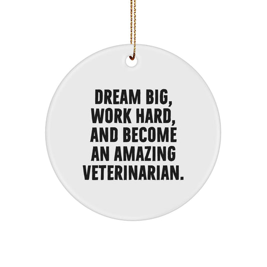 Inspirational Veterinarian Gifts, Dream Big, 'Work Hard, And Become An Amazing Veterinarian.', Circle Ornament, Christmas Unique Presents for Men, Women, or Friends from Family - Image 1