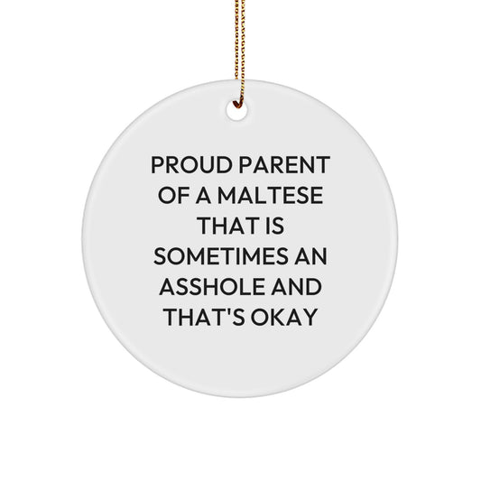 Maltese Dog Lover Gifts from Friends, Fun Circle Ornaments for Maltese Dog Owners, Funny Maltese Dog Present for Women, Men, Family - Image 1