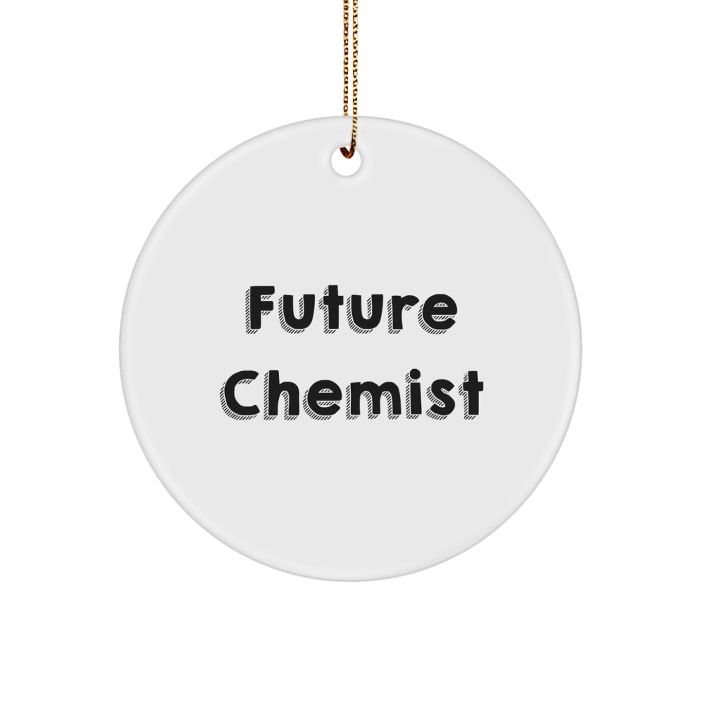 Funny Future Chemist Christmas Unique Gifts from Family, Circle Ornament, Inspirational Quote - Image 1