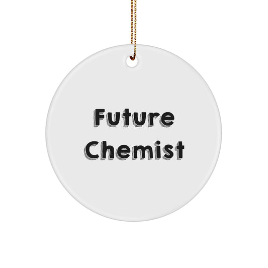 Funny Future Chemist Christmas Unique Gifts from Family, Circle Ornament, Inspirational Quote - Image 1