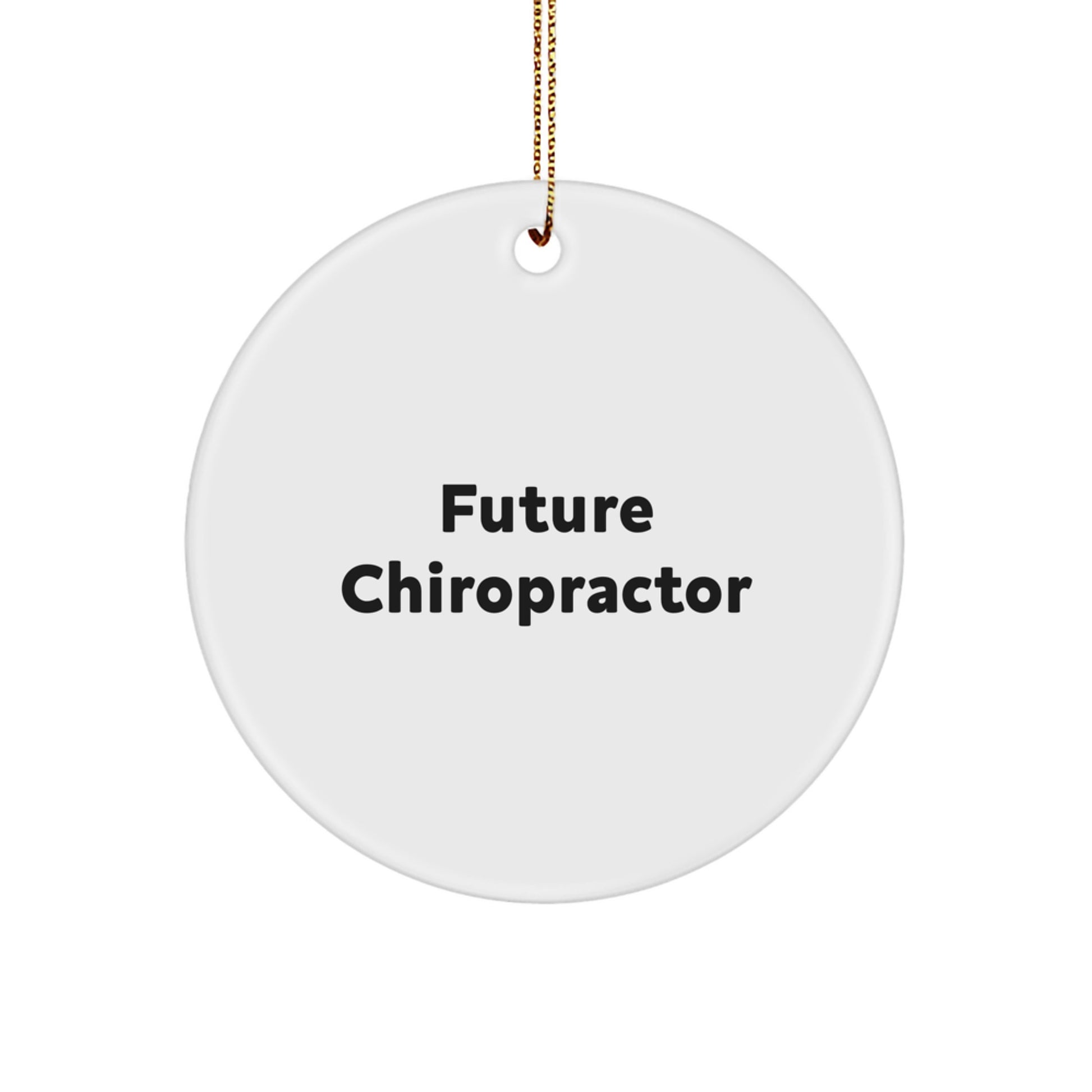 Funny Chiropractor Gifts from Family, Circle Ornament for Future Chiropractor, Inspirational Christmas Unique Gifts for Chiropractors Men - Image 1