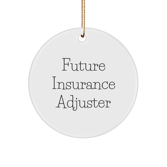 Funny Insurance Adjuster Gifts from Friends to Future Insurance Adjuster Circle Ornament for Christmas Unique Gifts - Image 1