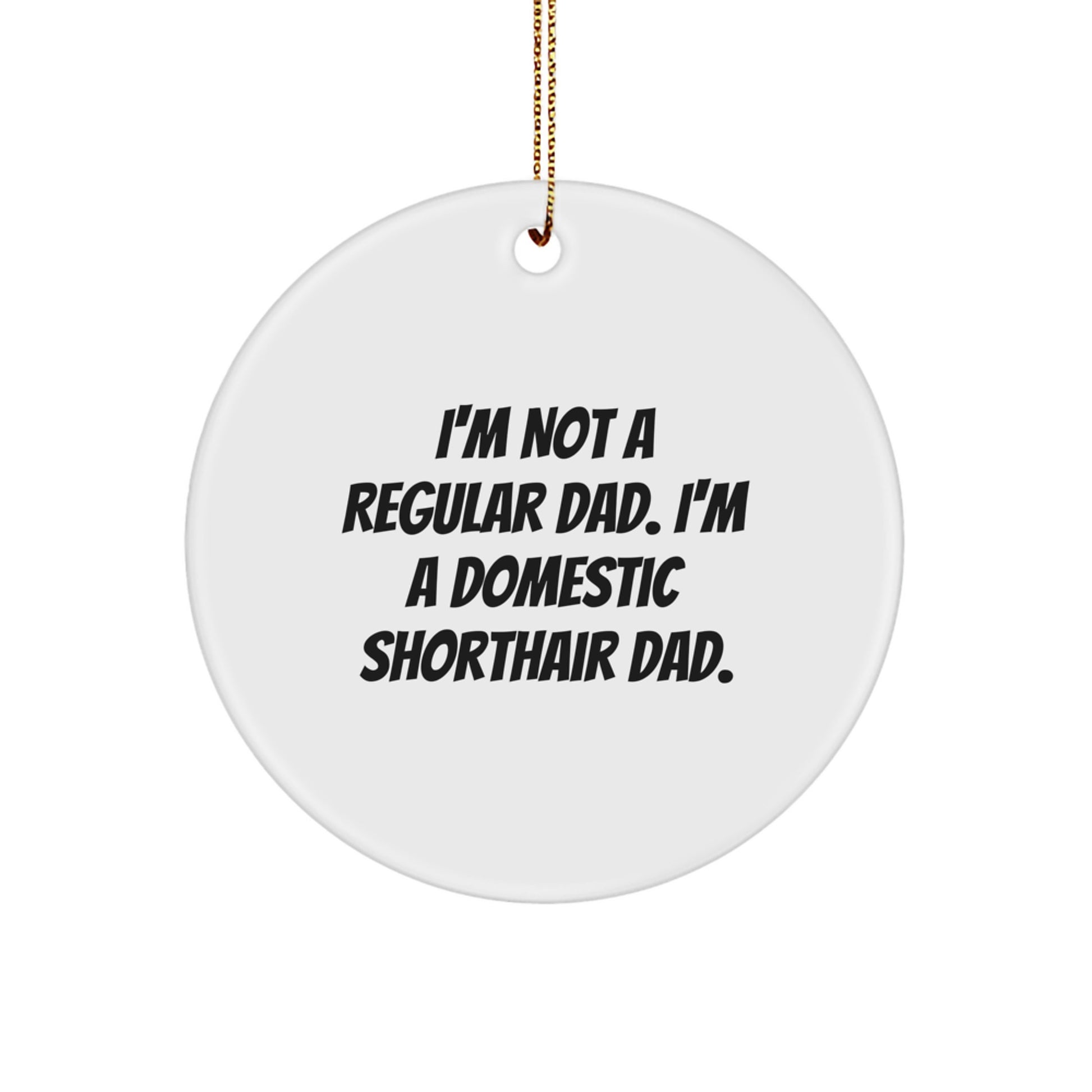 Funny Domestic Shorthair Cat Gifts for Men and Women, I'm Not a Regular Dad Circle Ornament, Unique Christmas Decorations from Family - Image 1