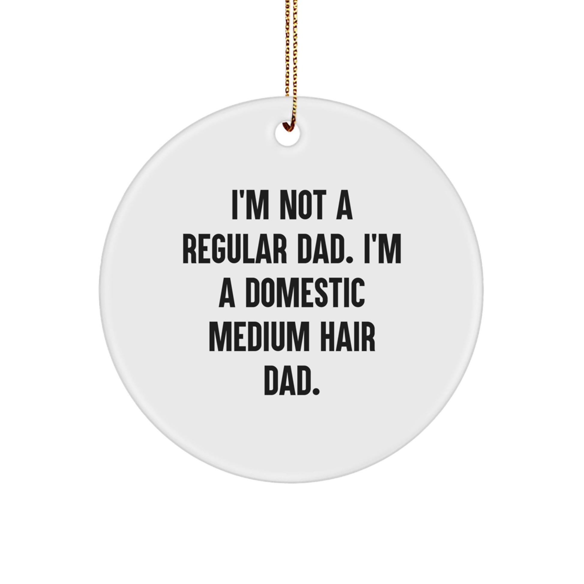 Funny Domestic Medium Hair Cat Dad Gifts from Men to Friends for Christmas Unique Circle Ornament - Image 1