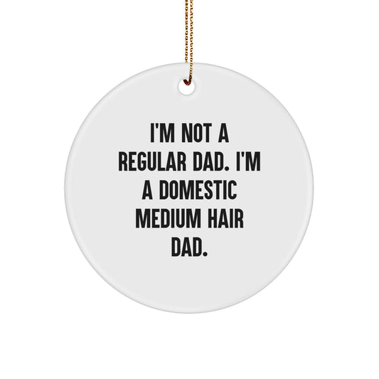 Funny Domestic Medium Hair Cat Dad Gifts from Men to Friends for Christmas Unique Circle Ornament - Image 1