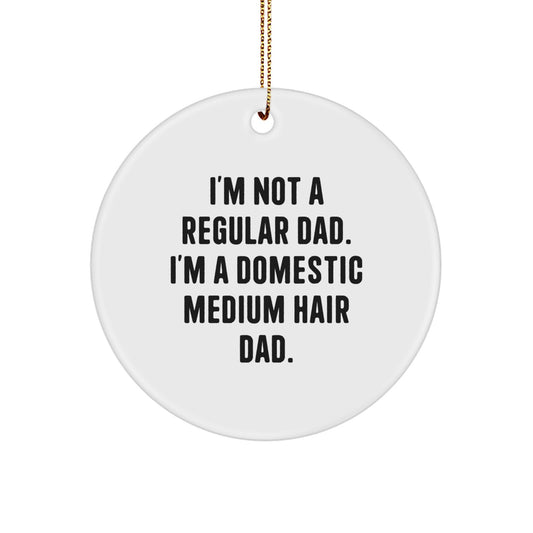 Funny Domestic Medium Hair Cat Circle Ornaments Gifts from Dad for Christmas Unique Decorations - Image 1