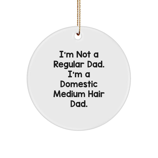 Funny Domestic Medium Hair Cat Gifts for Cat Dad, Circle Ornament from Men, Christmas Unique Decorations - Image 1