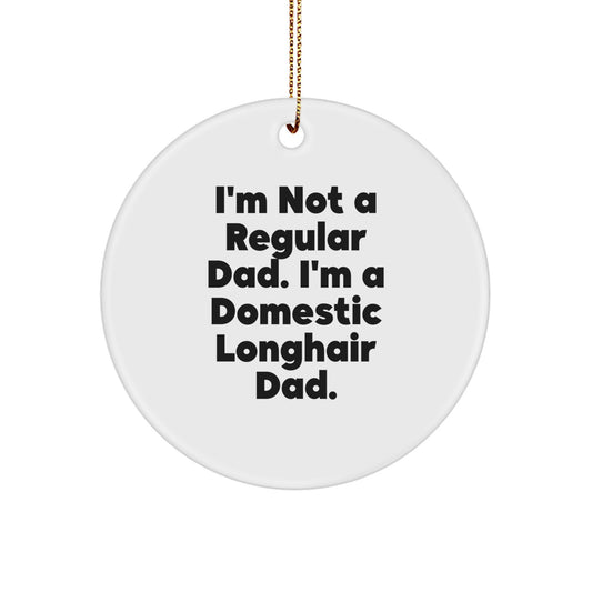 Domestic Longhair Cat Dad Gifts - I'm Not A Regular Dad, Funny Gifts for Men, Christmas Unique Ornaments for Home Decor - Image 1