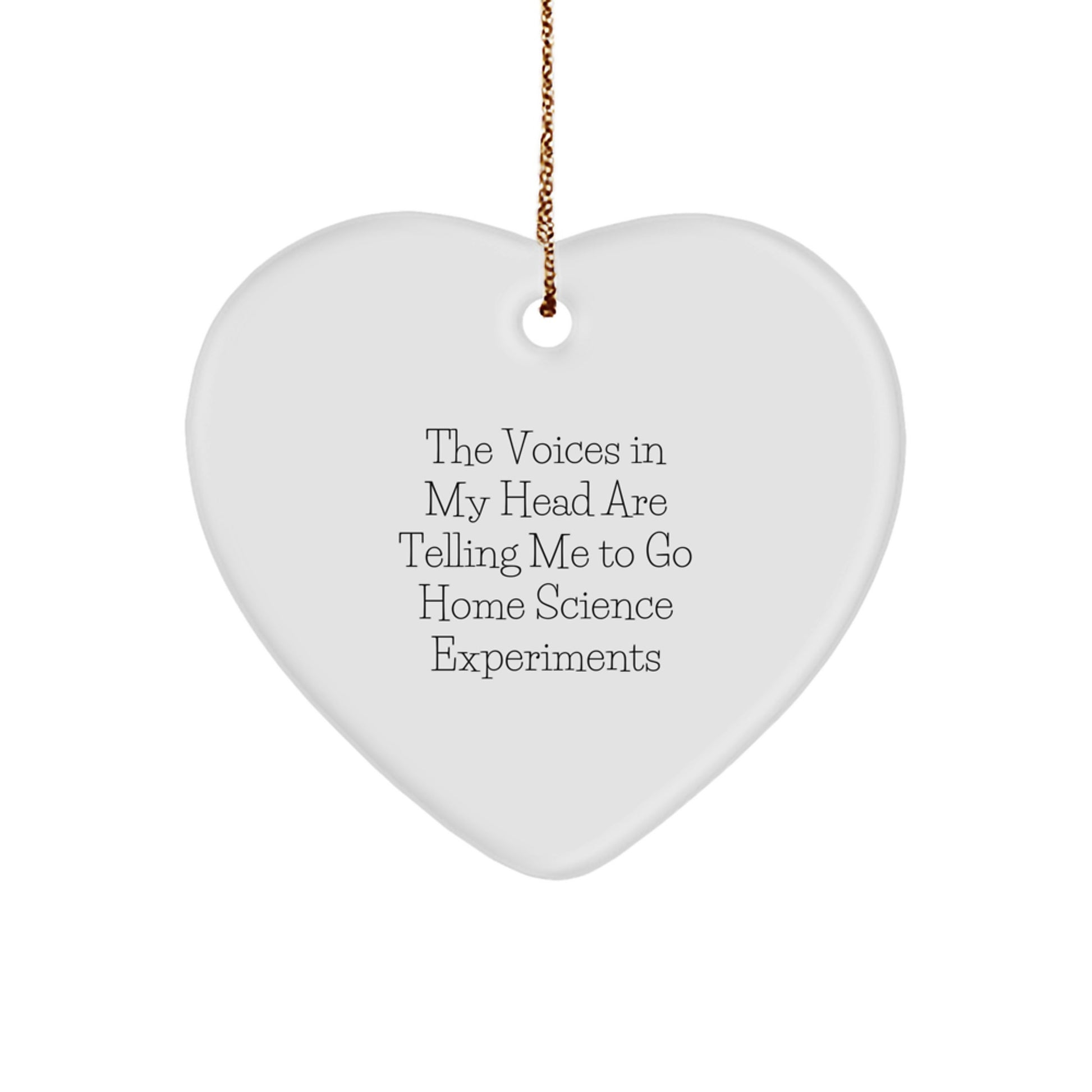 Funny Home Science Experiments Gifts for Women, Heart Ornament, The Voices In My Head Are Telling Me To Go Home Science Experiments, Christmas Unique Gifts from Family - Image 1