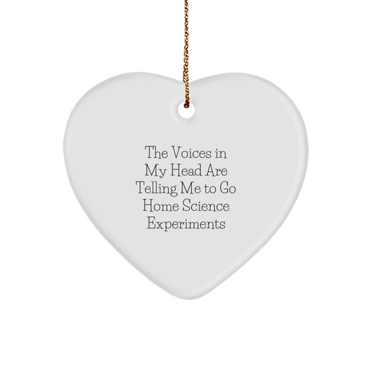 Funny Home Science Experiments Gifts for Women, Heart Ornament, The Voices In My Head Are Telling Me To Go Home Science Experiments, Christmas Unique Gifts from Family - Image 1