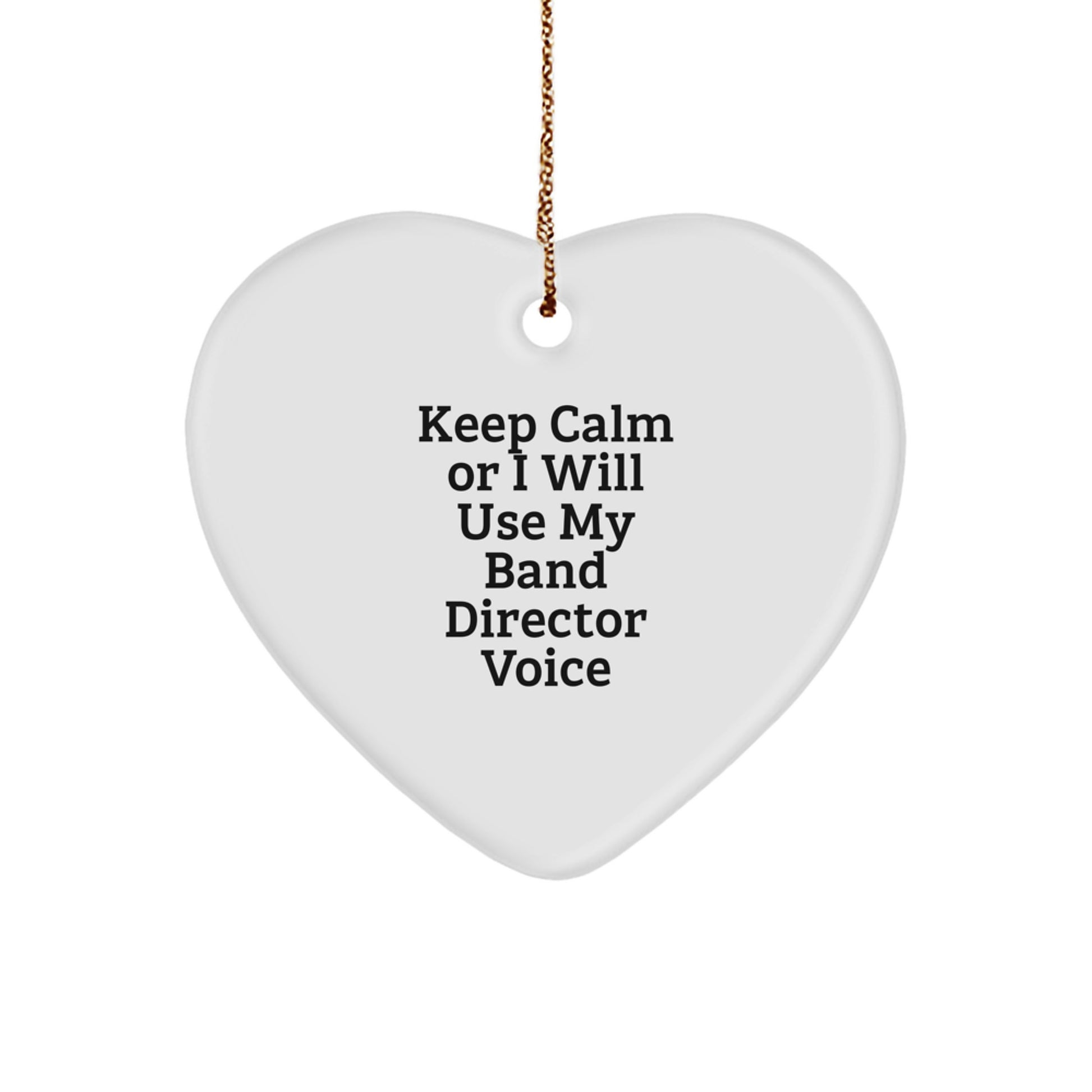 Funny Band Director Gifts from Friends - Christmas Unique Gifts for Band Director Men - Image 1