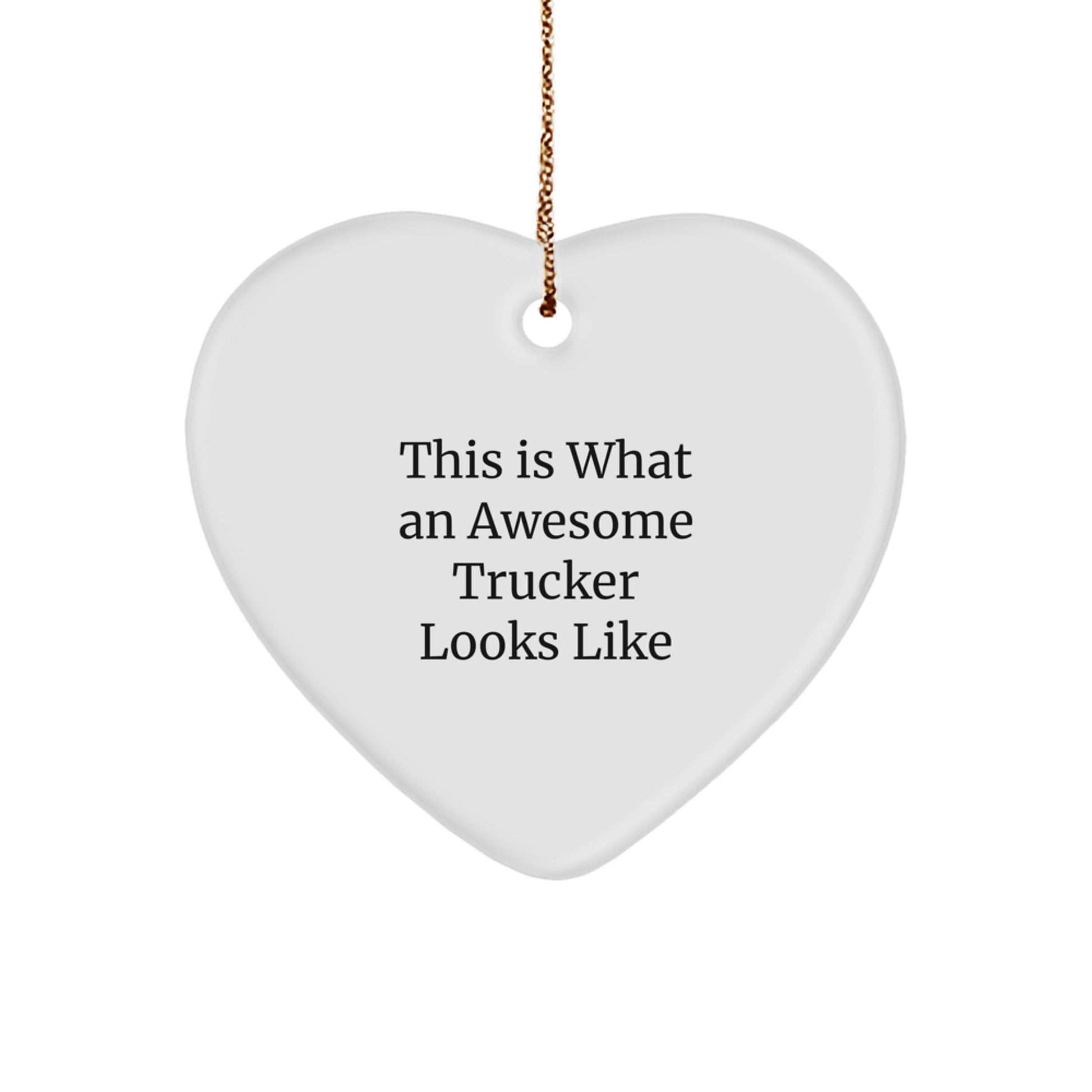 Funny Trucker Gifts from Men to Awesome Truckers on Christmas Unique Gifts - Image 1