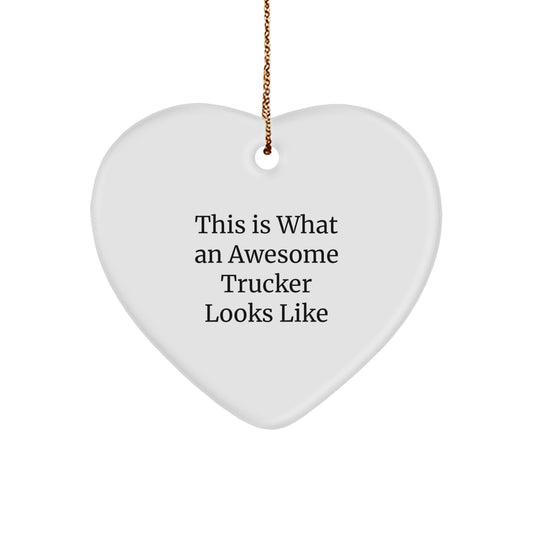 Funny Trucker Gifts from Men to Awesome Truckers on Christmas Unique Gifts - Image 1