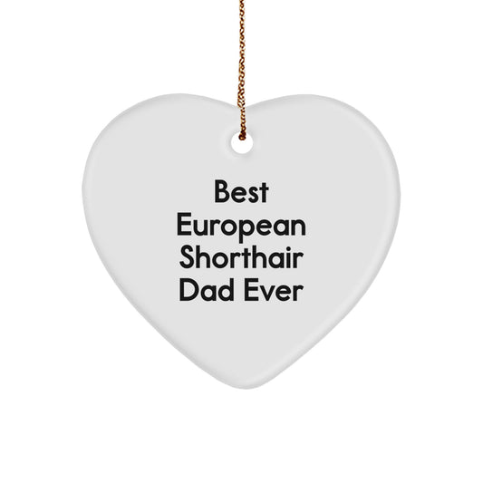 Funny European Shorthair Cat Dad Gifts from Family for Christmas Unique Heart Ornaments - Image 1