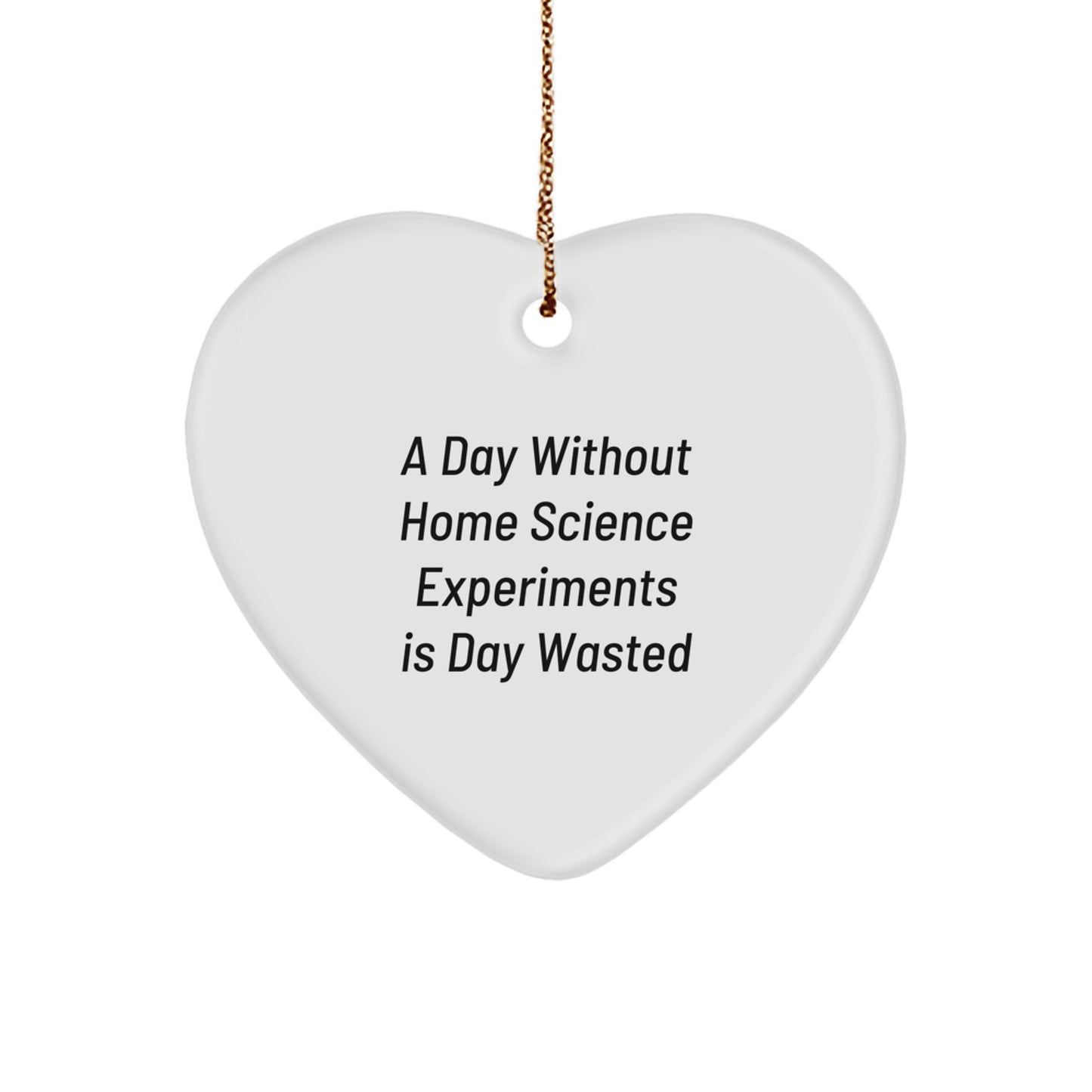 Home Science Experiments Inspired Heart Ornament Gifts from Family for Christmas A Day 'Without Home Science Experiments' Is 'Wasted' Unique - Image 1