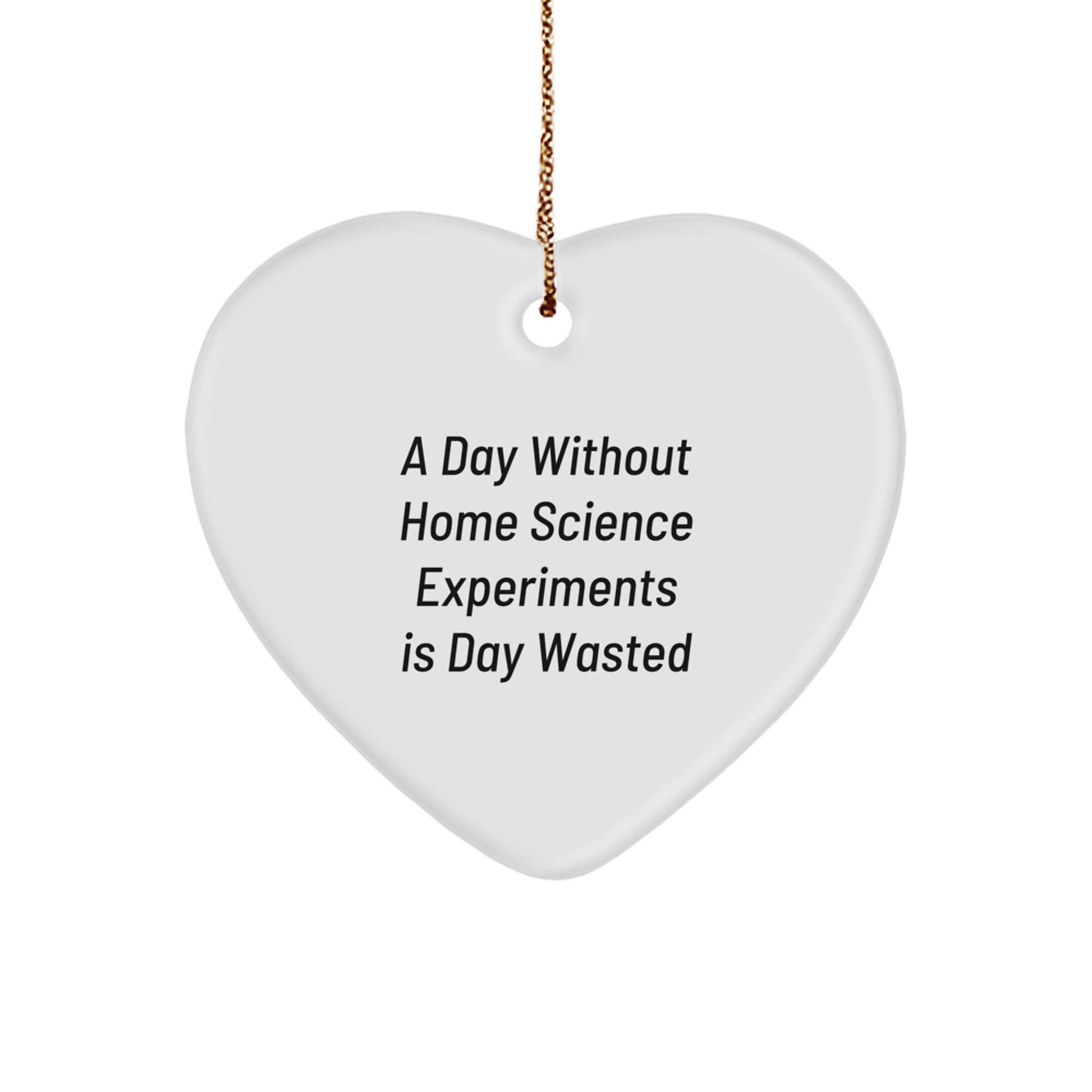 Home Science Experiments Inspired Heart Ornament Gifts from Family for Christmas A Day 'Without Home Science Experiments' Is 'Wasted' Unique - Image 1