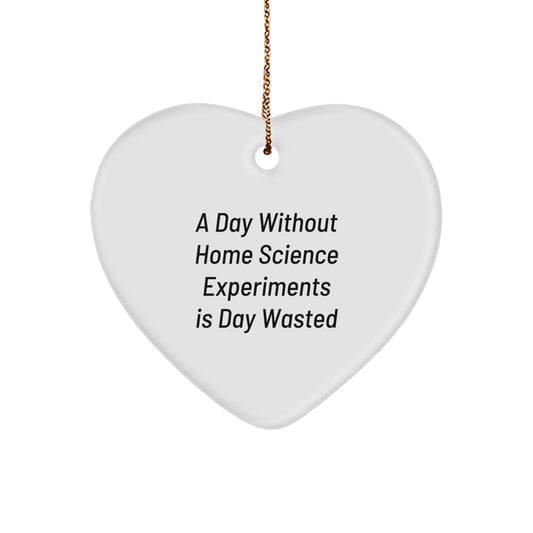 Home Science Experiments Inspired Heart Ornament Gifts from Family for Christmas A Day 'Without Home Science Experiments' Is 'Wasted' Unique - Image 1