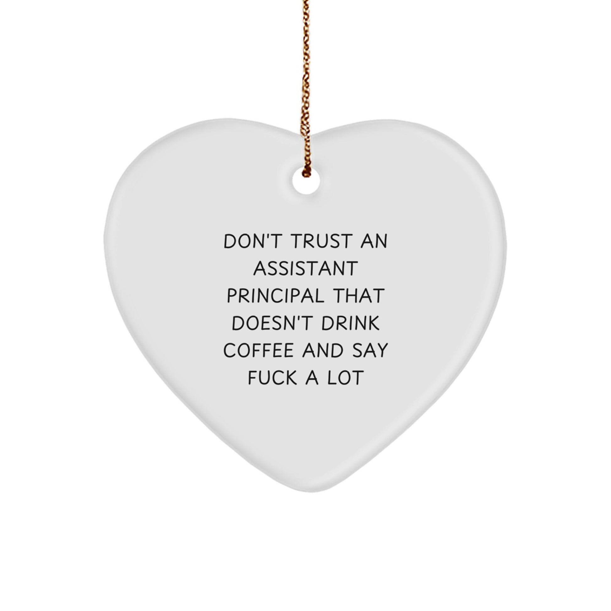 Assistant Principal Keepsake Christmas Ornament for Him Gift - Image 1