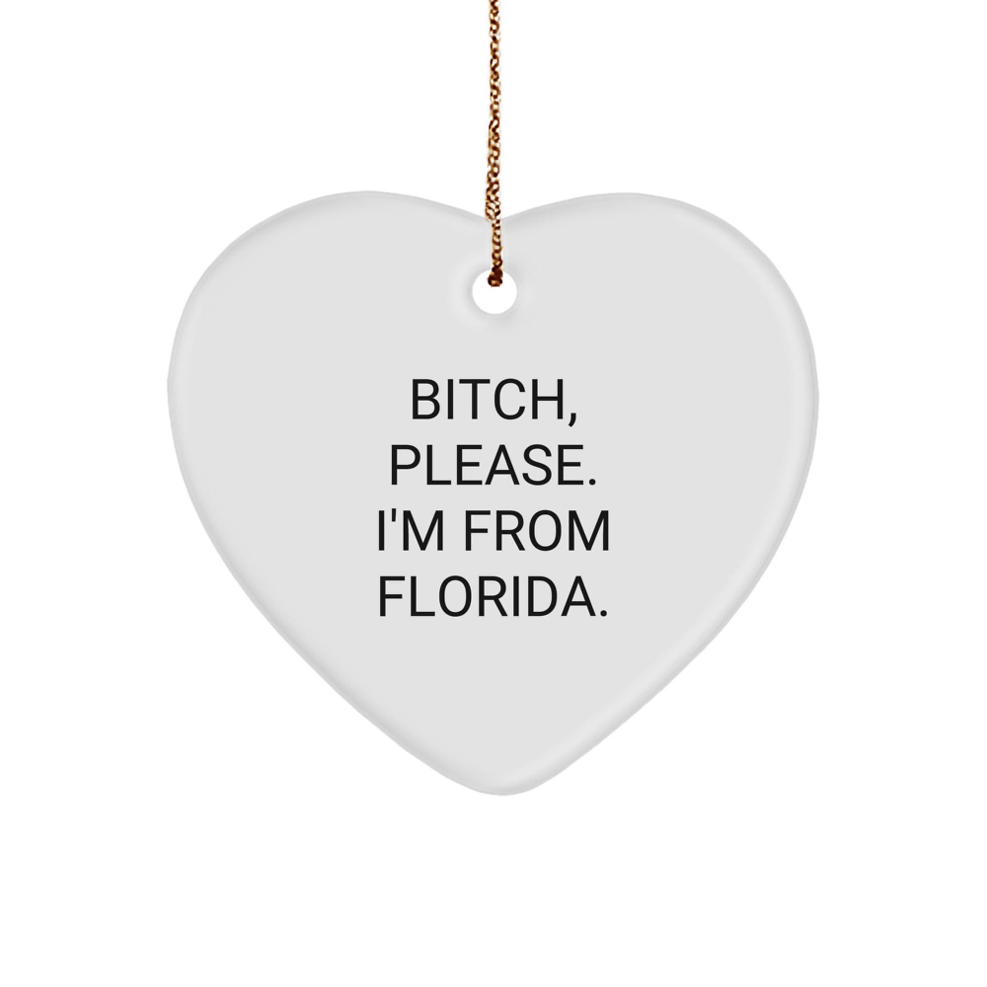 Funny Florida Heart Ornament Gifts from Friends and Family for Christmas Decorations - Image 1
