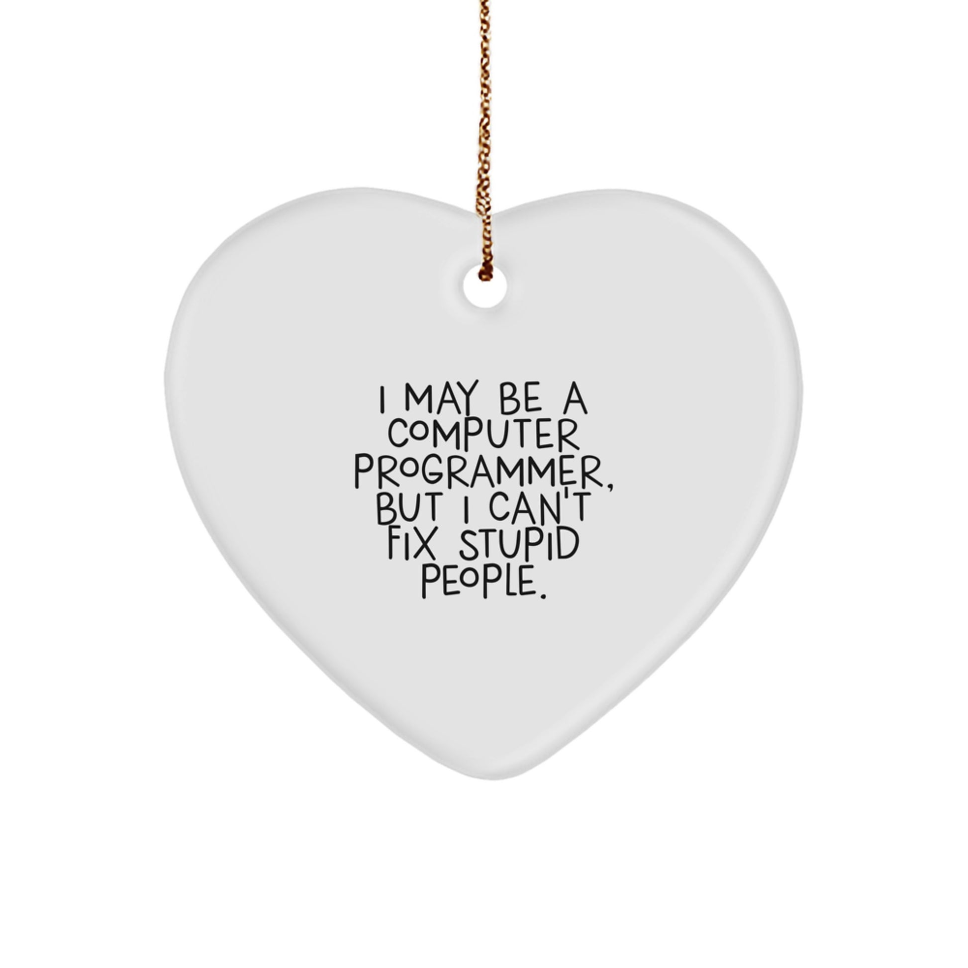 Funny Computer Programmer Heart Ornament Gifts from Friends - I May Be A Computer Programmer, But I Can't Fix Stupid People. Christmas Unique Gifts for Men - Image 1