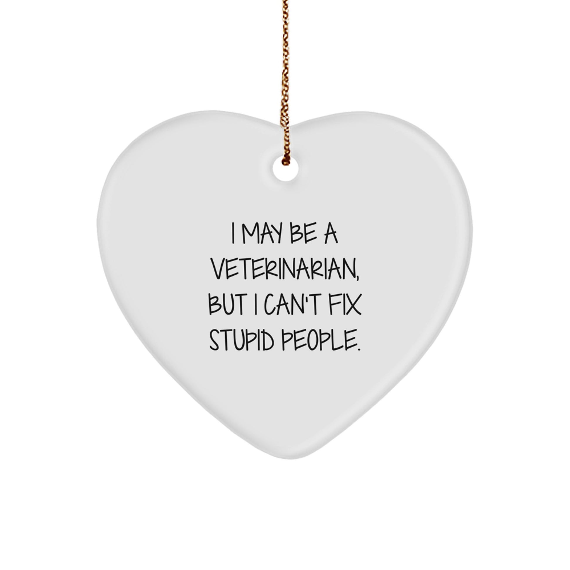 Funny Veterinarian Gifts from Men to Coworkers, 'I May Be A Veterinarian, But I Can't Fix Stupid People.' Heart Ornament for Christmas Unique Gifts - Image 1